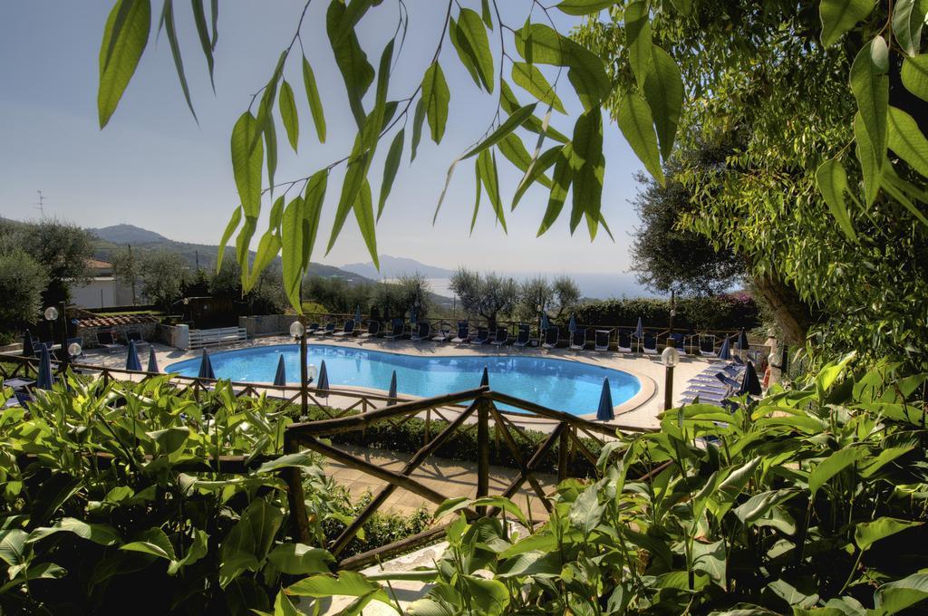 Freedom Holiday Residence Massa Lubrense Extérieur photo